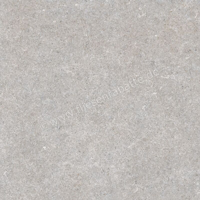  Ragno True Grey 60x60 cm Bodenfliese / Wandfliese Matt Eben Naturale RDKA | 684509
