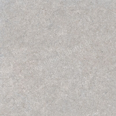  Ragno True Grey 60x60 cm Bodenfliese / Wandfliese Matt Eben Naturale RDKA | 684512