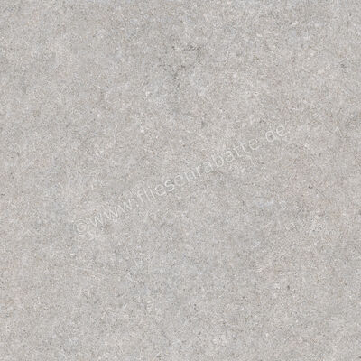 Ragno True Grey 60x60 cm Bodenfliese / Wandfliese Matt Eben Naturale RDKA | 684515