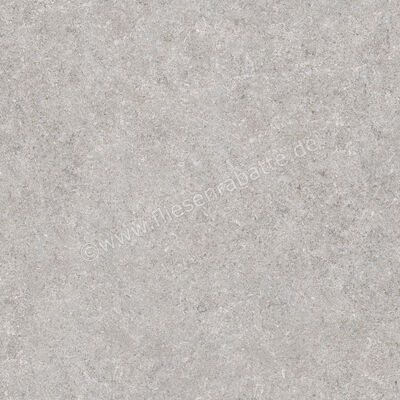  Ragno True Grey 60x60 cm Bodenfliese / Wandfliese Matt Eben Naturale RDKA | 684521