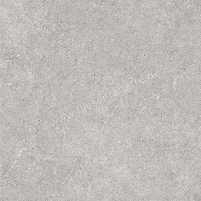  Ragno True Grey 60x60 cm Bodenfliese / Wandfliese Matt Eben Naturale RDKA | 684524