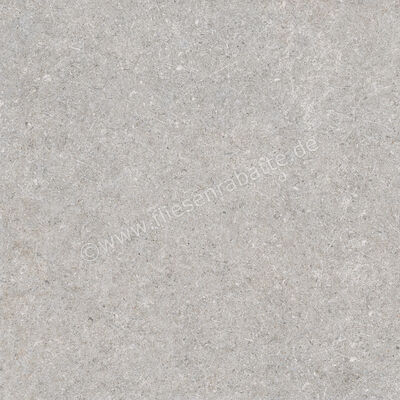  Ragno True Grey 60x60 cm Bodenfliese / Wandfliese Matt Eben Naturale RDKA | 684527