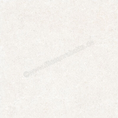  Ragno True Ivory 60x60 cm Bodenfliese / Wandfliese Matt Eben Naturale RDKC | 684533