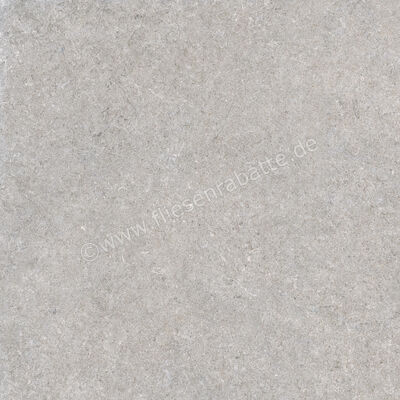  Ragno True Grey 80x80 cm Bodenfliese / Wandfliese Matt Eben Naturale RDLC | 684686