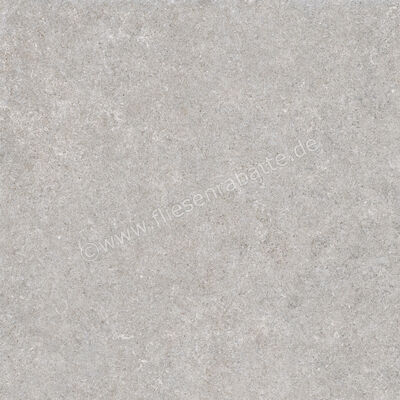  Ragno True Grey 80x80 cm Bodenfliese / Wandfliese Matt Eben Naturale RDLC | 684695