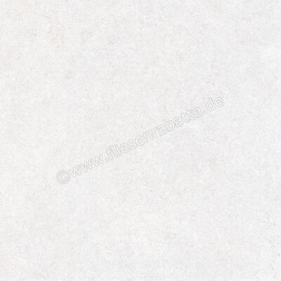  Ragno True Ice 80x80 cm Bodenfliese / Wandfliese Matt Eben Naturale RDLE | 684722