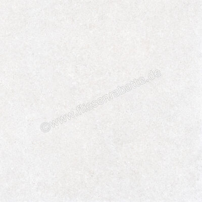  Ragno True Ice 80x80 cm Bodenfliese / Wandfliese Matt Eben Naturale RDLE | 684725