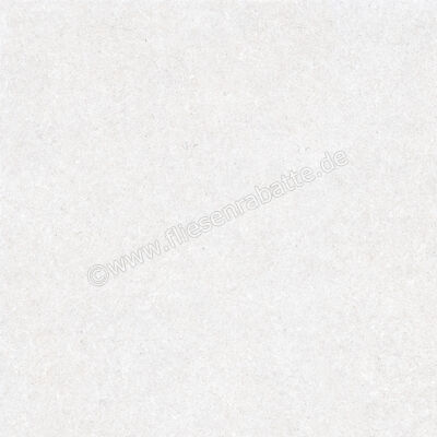  Ragno True Ice 80x80 cm Bodenfliese / Wandfliese Matt Eben Naturale RDLE | 684728