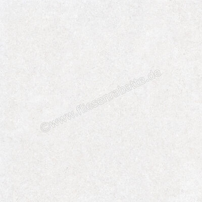  Ragno True Ice 80x80 cm Bodenfliese / Wandfliese Matt Eben Naturale RDLE | 684731