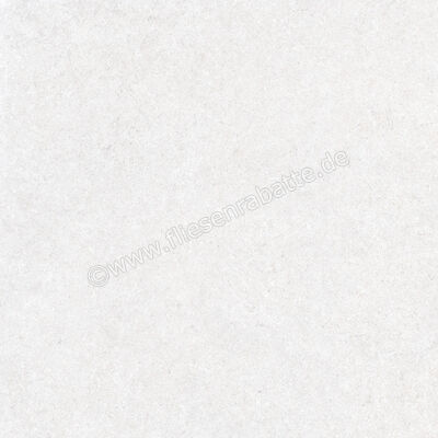  Ragno True Ice 80x80 cm Bodenfliese / Wandfliese Matt Eben Naturale RDLE | 684734