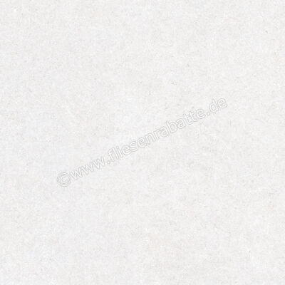  Ragno True Ice 80x80 cm Bodenfliese / Wandfliese Matt Eben Naturale RDLE | 684737