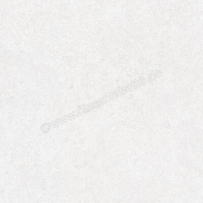  Ragno True Ice 80x80 cm Bodenfliese / Wandfliese Matt Eben Naturale RDLE | 684740