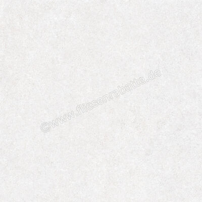  Ragno True Ice 80x80 cm Bodenfliese / Wandfliese Matt Eben Naturale RDLE | 684743