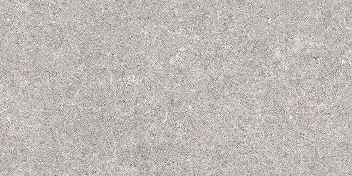  Ragno True Grey 30x60 cm Bodenfliese / Wandfliese Matt Eben Naturale RDLK | 684746
