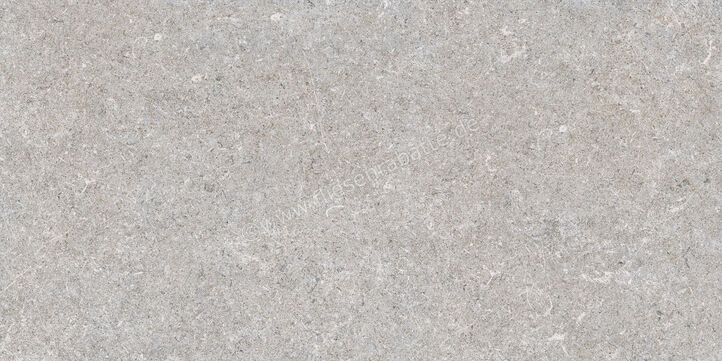  Ragno True Grey 30x60 cm Bodenfliese / Wandfliese Matt Eben Naturale RDLK | 684749