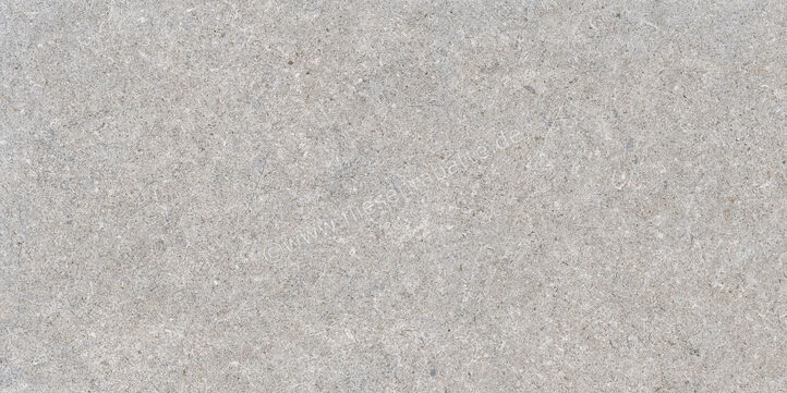  Ragno True Grey 30x60 cm Bodenfliese / Wandfliese Matt Eben Naturale RDLK | 684752