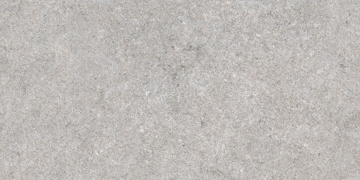  Ragno True Grey 30x60 cm Bodenfliese / Wandfliese Matt Eben Naturale RDLK | 684755