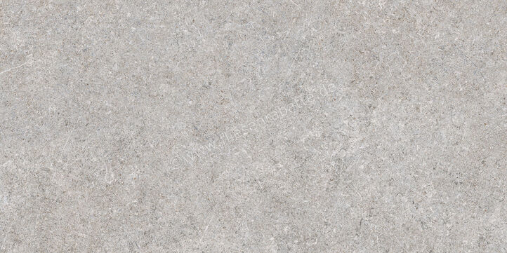  Ragno True Grey 30x60 cm Bodenfliese / Wandfliese Matt Eben Naturale RDLK | 684758
