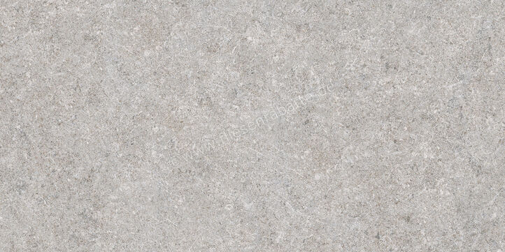  Ragno True Grey 30x60 cm Bodenfliese / Wandfliese Matt Eben Naturale RDLK | 684761