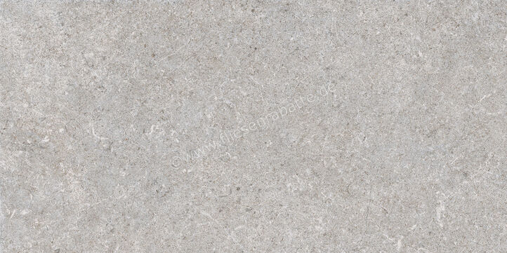  Ragno True Grey 30x60 cm Bodenfliese / Wandfliese Matt Eben Naturale RDLK | 684764