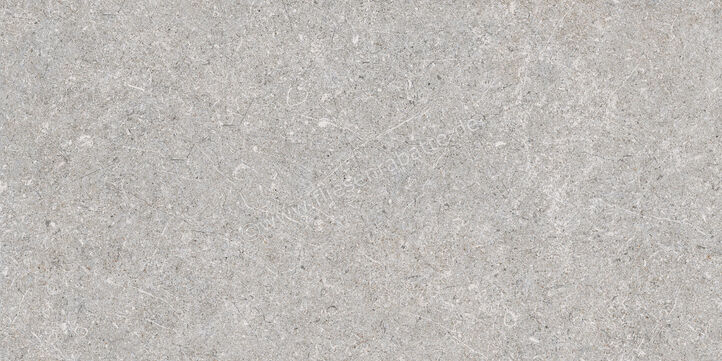  Ragno True Grey 30x60 cm Bodenfliese / Wandfliese Matt Eben Naturale RDLK | 684767