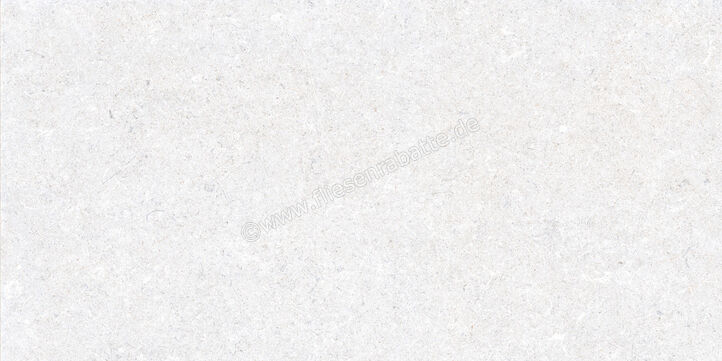  Ragno True Ice 30x60 cm Bodenfliese / Wandfliese Matt Eben Naturale RDLM | 684797