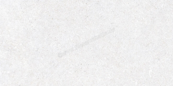  Ragno True Ice 30x60 cm Bodenfliese / Wandfliese Matt Eben Naturale RDLM | 684812