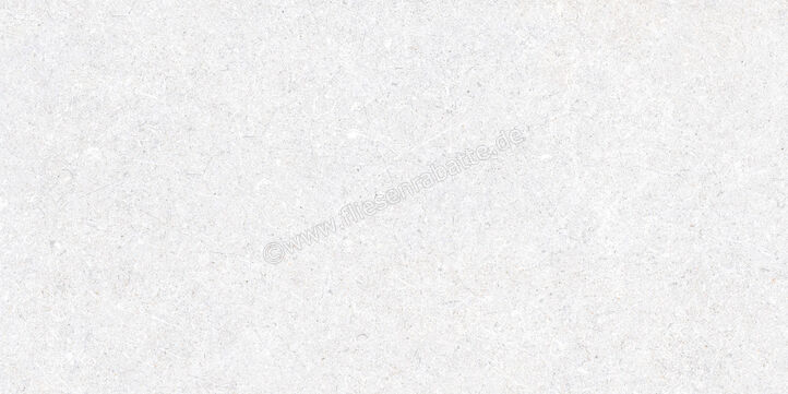  Ragno True Ice 30x60 cm Bodenfliese / Wandfliese Matt Eben Naturale RDLM | 684815