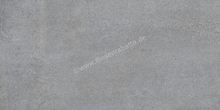  Ragno Quiet Grey 30x60 cm Bodenfliese / Wandfliese Matt Eben Naturale RDKP | 684944