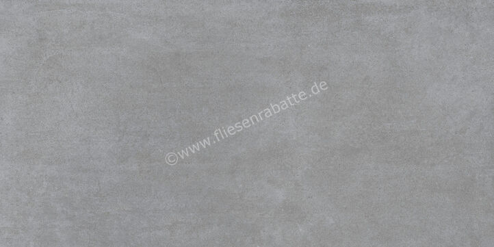  Ragno Quiet Grey 60x120 cm Bodenfliese / Wandfliese Matt Eben Naturale RDKR | 684980