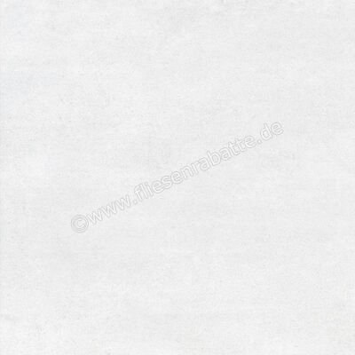  Ragno Quiet Ice 60x60 cm Bodenfliese / Wandfliese Matt Eben Naturale RDL0 | 685091