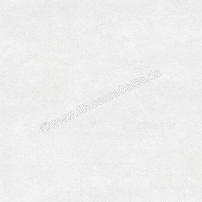  Ragno Quiet Ice 60x60 cm Bodenfliese / Wandfliese Matt Eben Naturale RDL0 | 685094