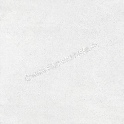  Ragno Quiet Ice 60x60 cm Bodenfliese / Wandfliese Matt Eben Naturale RDL0 | 685097
