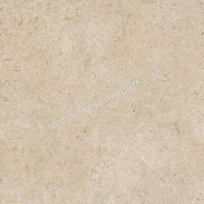  Ragno Eterna Greige 100x100 cm Bodenfliese / Wandfliese Matt Eben Naturale RA7J | 686969