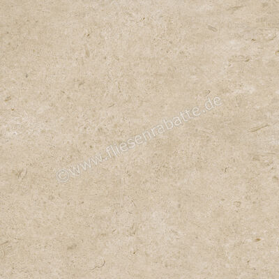 Ragno Eterna Greige 100x100 cm Bodenfliese / Wandfliese Matt Eben Naturale RA7J | 686972
