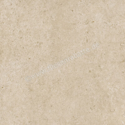  Ragno Eterna Greige 100x100 cm Bodenfliese / Wandfliese Matt Eben Naturale RA7J | 686975