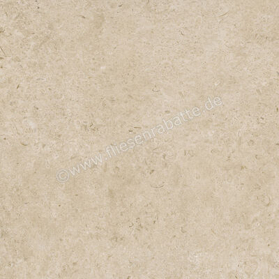  Ragno Eterna Greige 100x100 cm Bodenfliese / Wandfliese Matt Eben Naturale RA7J | 686978