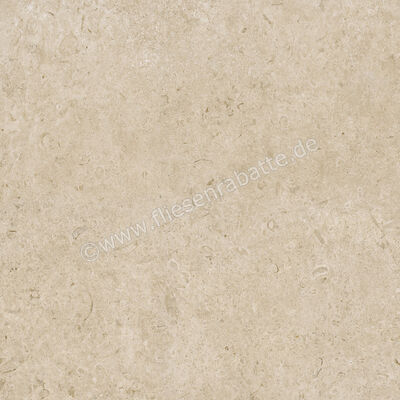 Ragno Eterna Greige 100x100 cm Bodenfliese / Wandfliese Matt Eben Naturale RA7J | 686981