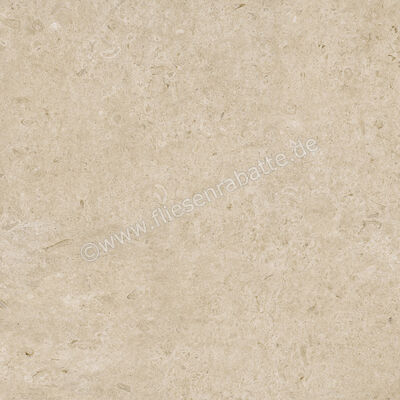  Ragno Eterna Greige 100x100 cm Bodenfliese / Wandfliese Matt Eben Naturale RA7J | 686984