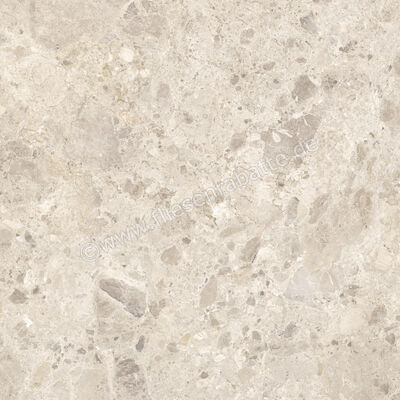  Ragno Eterna Mix Beige 100x100 cm Bodenfliese / Wandfliese Matt Eben Naturale RA7L | 686987