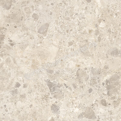 Ragno Eterna Mix Beige 100x100 cm Bodenfliese / Wandfliese Matt Eben Naturale RA7L | 686996