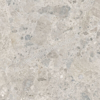  Ragno Eterna Mix Gris 100x100 cm Bodenfliese / Wandfliese Matt Eben Naturale RA7M | 687008
