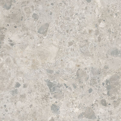  Ragno Eterna Mix Gris 100x100 cm Bodenfliese / Wandfliese Matt Eben Naturale RA7M | 687014