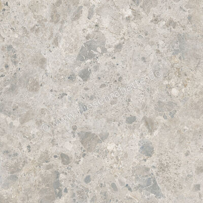  Ragno Eterna Mix Gris 100x100 cm Bodenfliese / Wandfliese Matt Eben Naturale RA7M | 687017