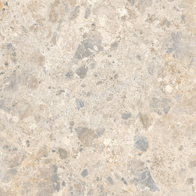  Ragno Eterna Mix Multicolor 100x100 cm Bodenfliese / Wandfliese Matt Eben Naturale RA7N | 687035