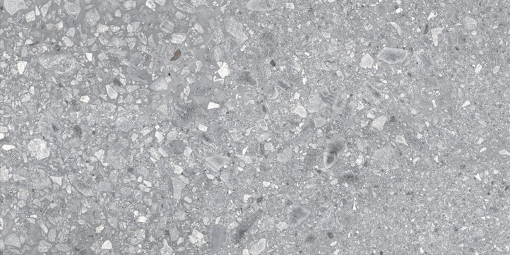  Ragno Realstone_Ceppo XT20 Grigio 60x120x2 cm Terrassenplatte Matt Eben Naturale RCYP | 687440