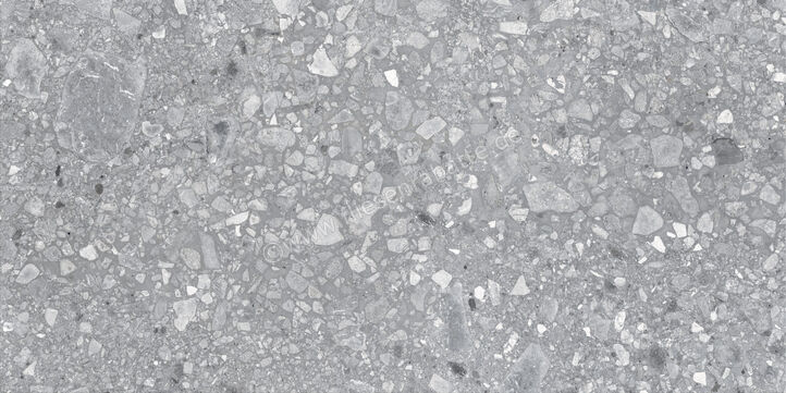  Ragno Realstone_Ceppo XT20 Grigio 60x120x2 cm Terrassenplatte Matt Eben Naturale RCYP | 687443