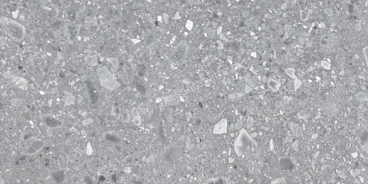  Ragno Realstone_Ceppo XT20 Grigio 60x120x2 cm Terrassenplatte Matt Eben Naturale RCYP | 687449
