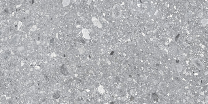  Ragno Realstone_Ceppo XT20 Grigio 60x120x2 cm Terrassenplatte Matt Eben Naturale RCYP | 687452