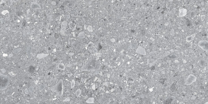  Ragno Realstone_Ceppo XT20 Grigio 60x120x2 cm Terrassenplatte Matt Eben Naturale RCYP | 687455
